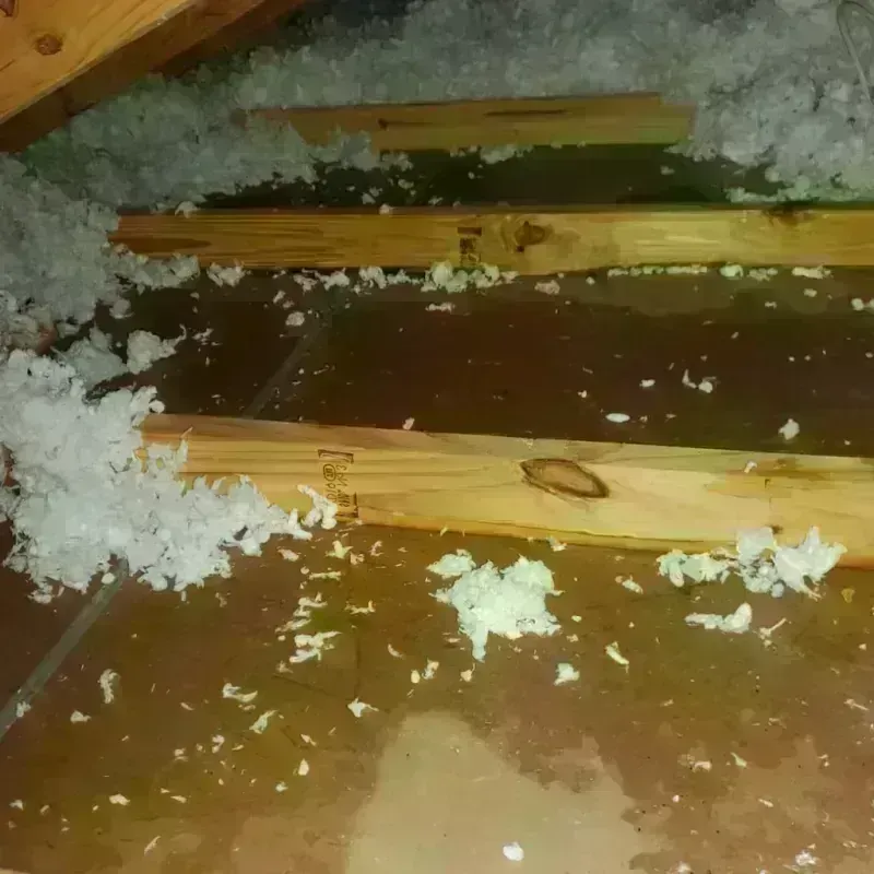 Best Attic Water Damage Service in Oxford, NC